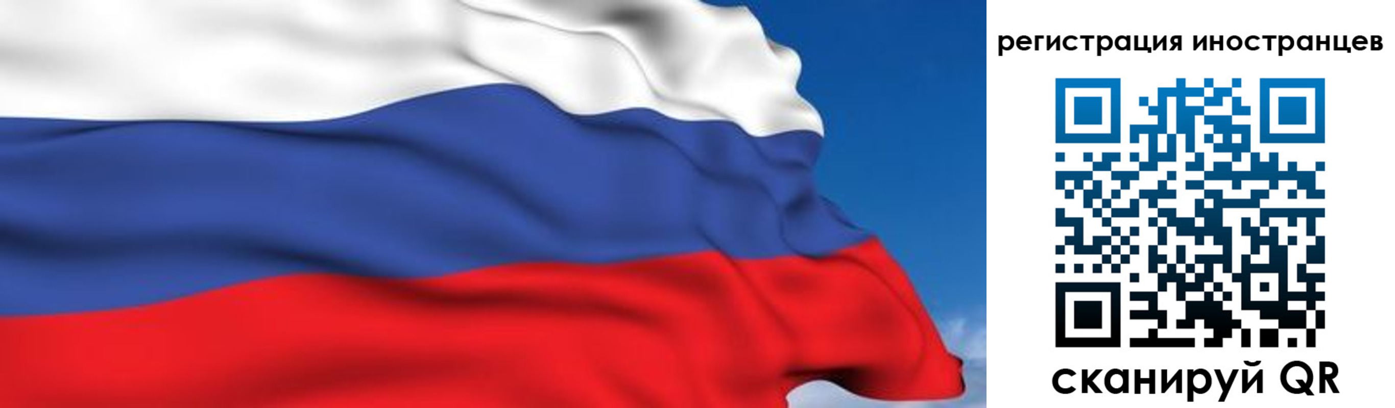 прописка для работы в Кингисеппе